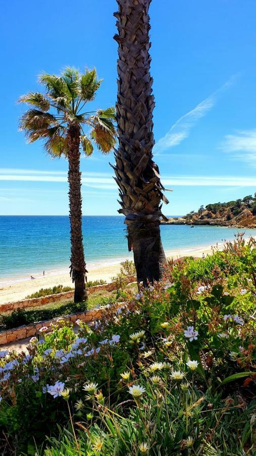 Sao Rafael Sun & Beach House Albufeira Esterno foto